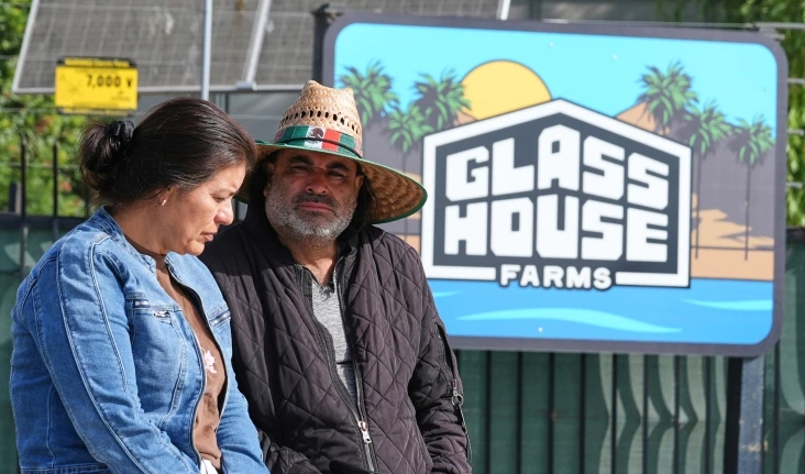 Rusga migratória em fazendas de canábis na Califórnia